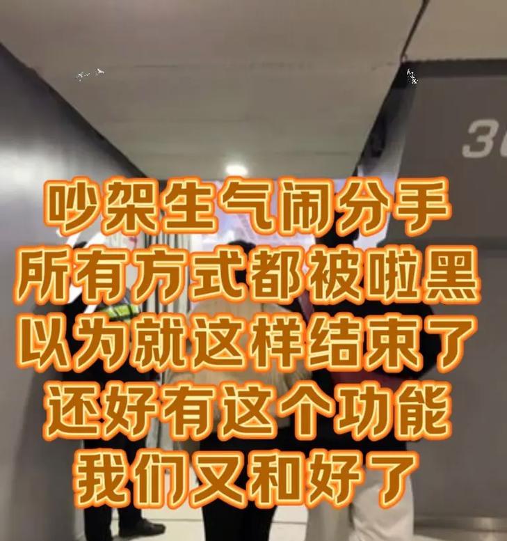 如何巧妙挽回被拉黑的人？（教你拉黑后挽回的小技巧）-第3张图片-恋语空间